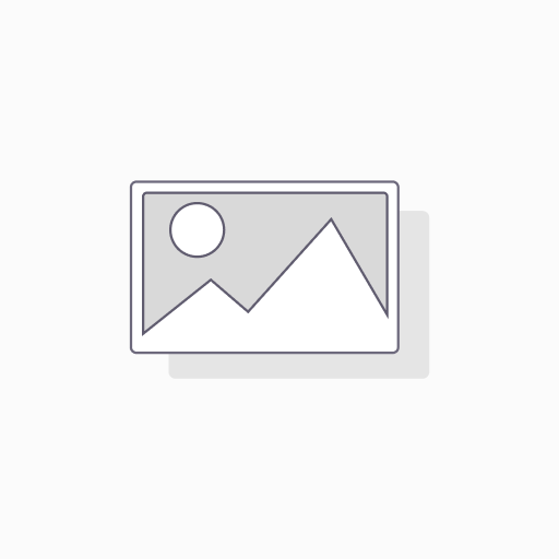 Vertaalservices